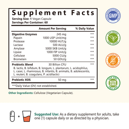 Digestive Enzymes